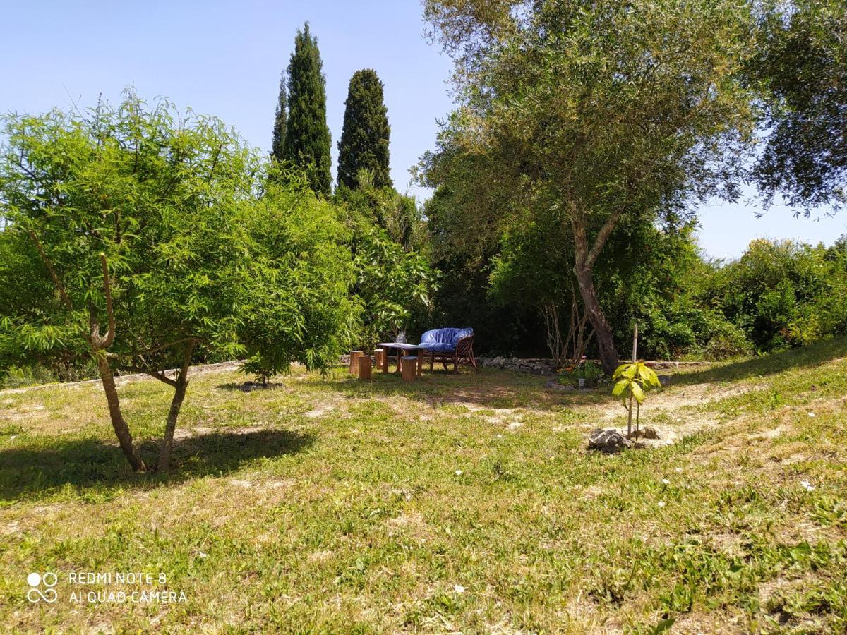 Corfu Villa Galini Potamos  Экстерьер фото